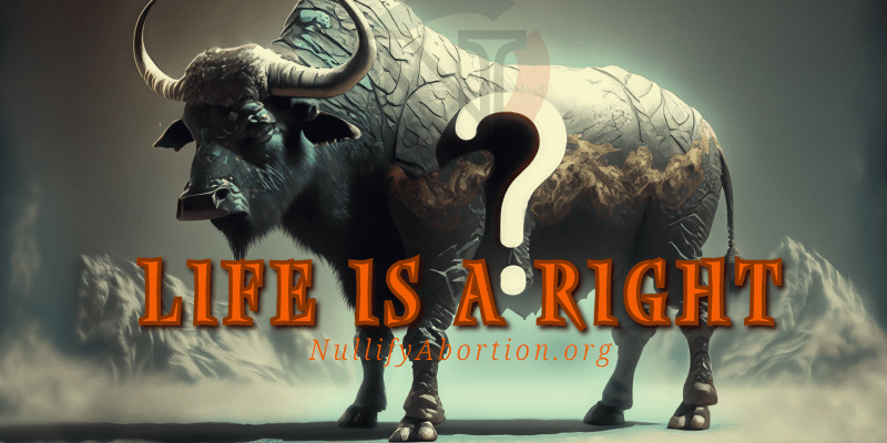 Mountainous Ox, the Symbol of Wyoming, with the words "Life Is a Right" superimposed of a gigantic question mark.